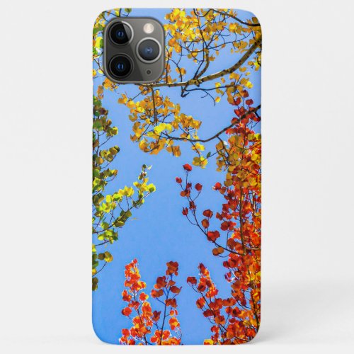 Aspen Color Candy  Fall Leaf Colors iPhone 11 Pro Max Case