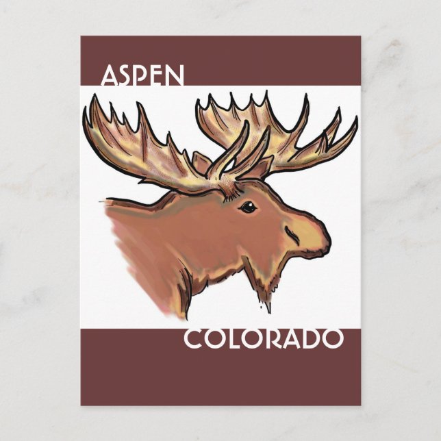 Aspen Colorado brown moose postcard (Front)