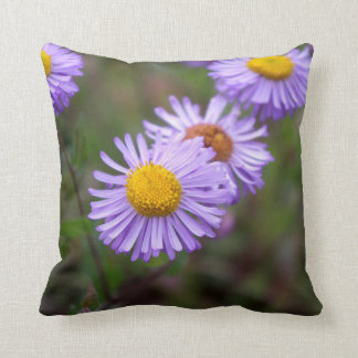 Aspen Fleabane Daisy Flower Pillow