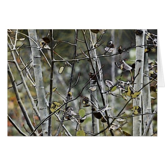 Aspen Forest Cards (Front Horizontal)