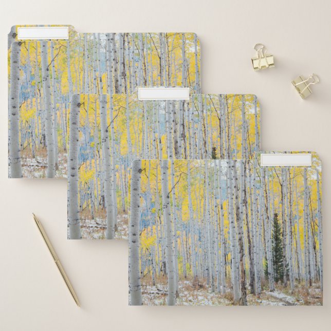 Aspen Forest In The Fall File Folder (Set)