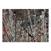 Aspen Forest Late Autumn (Front Horizontal)