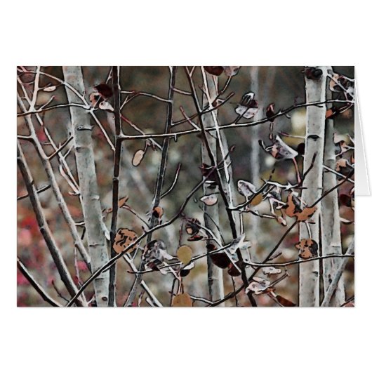 Aspen Forest Late Autumn (Front Horizontal)