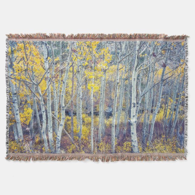 Aspen Forest Throw Blanket (Front)