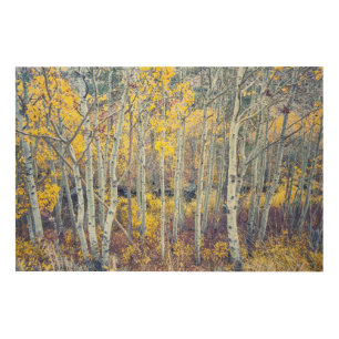 Aspen Forest Wood Wall Art