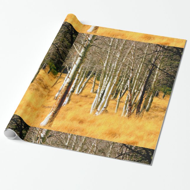 aspen forest wrapping paper (Unrolled)