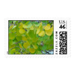 Aspen Green and Gold Postage Stamps