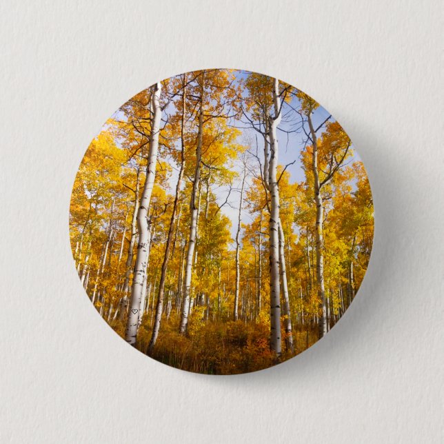 Aspen Groove Yellow Fall Leaves Button (Front)