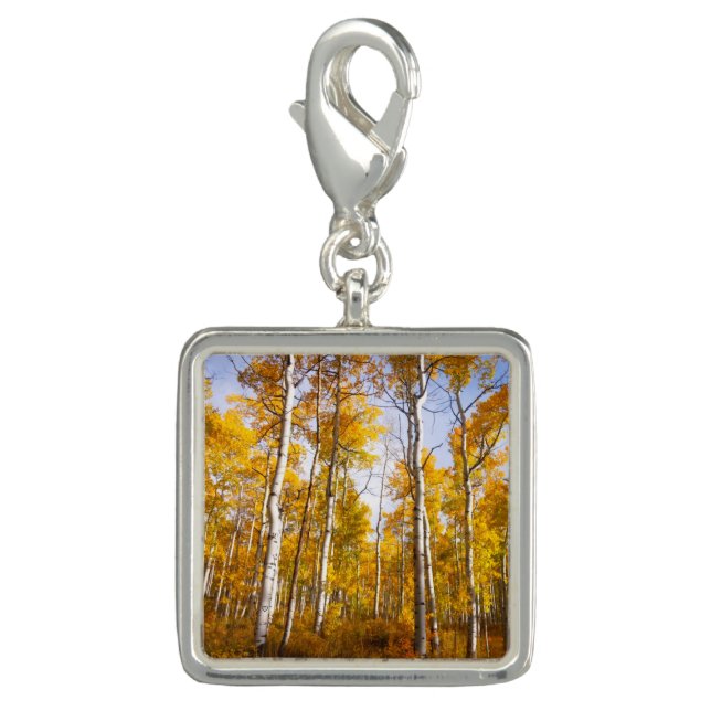 Aspen Groove Yellow Fall Leaves Charm (Front)