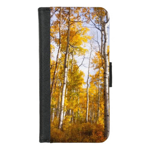 Aspen Groove Yellow Fall Leaves iPhone 87 Wallet Case