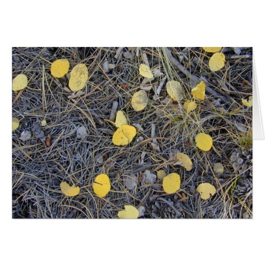 Aspen Ground II card (Front Horizontal)