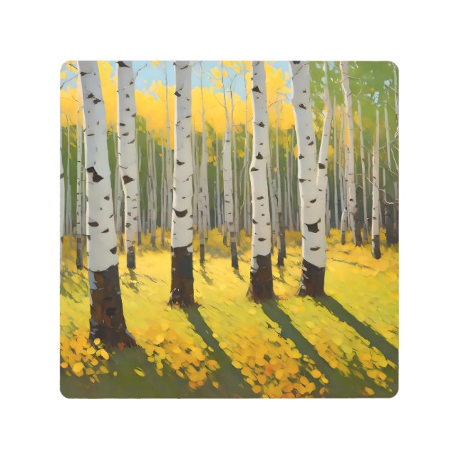 Aspen Grove in the Afternoon Sunlight Metal Print (Front)