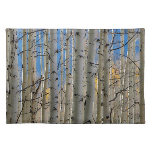 Aspen Groves  Colorado Rocky Mountains Cloth Placemat