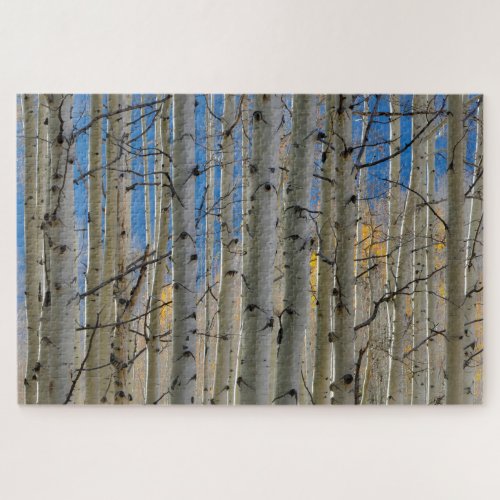 Aspen Groves  Colorado Rocky Mountains Jigsaw Puzzle