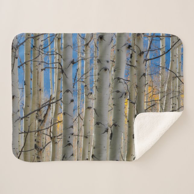 Aspen Groves | Colorado Rocky Mountains Sherpa Blanket (Front (Horizontal))
