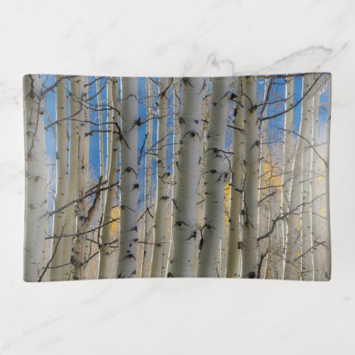 Aspen Groves  Colorado Rocky Mountains Trinket Tray