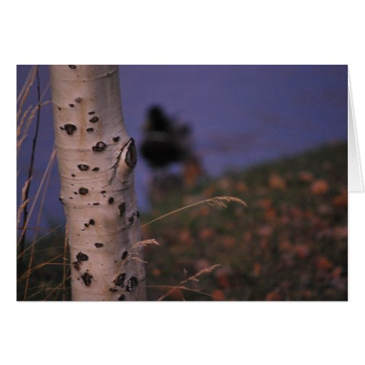 Aspen in the Spring Cards (Front Horizontal)