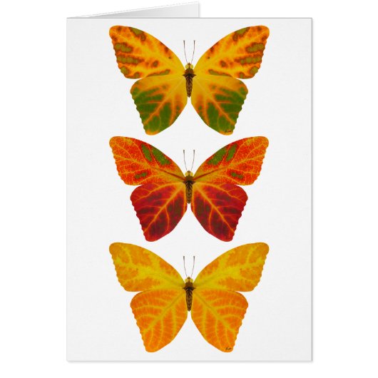 Aspen Leaf Butterflies Cards (Front)