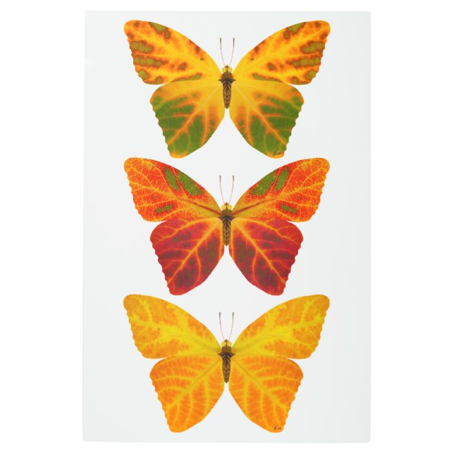 Aspen Leaf Butterflies Metal Print (Front)