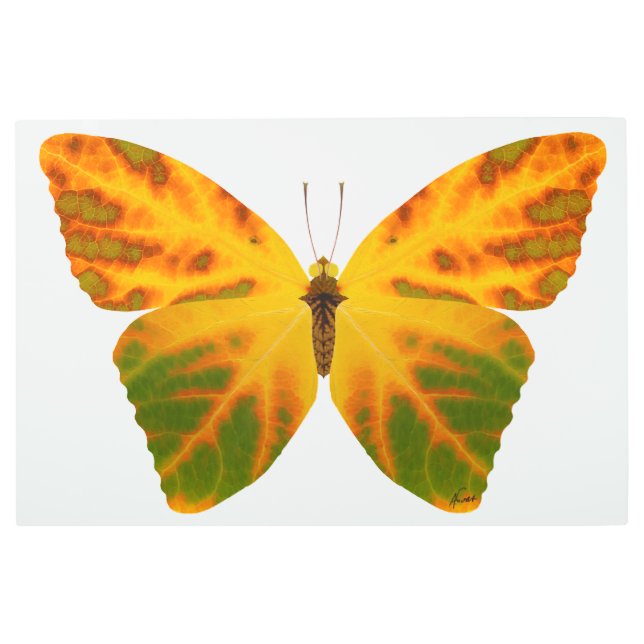 Aspen Leaf Butterfly 1 Metal Print (Front)