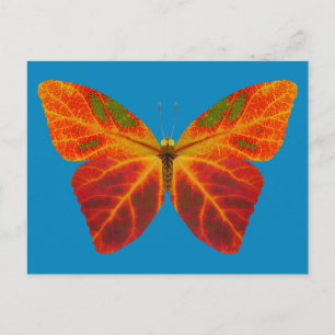 Aspen Leaf Butterfly 2 Postcard