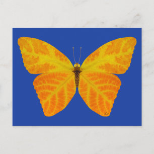 Aspen Leaf Butterfly 3 Postcard