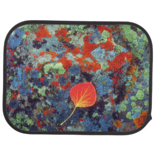 Aspen leaf on a lichen covered rock car mat