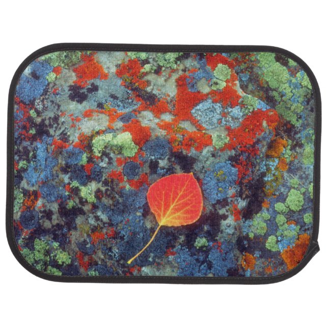 Aspen leaf on a lichen covered rock car mat (Rear)