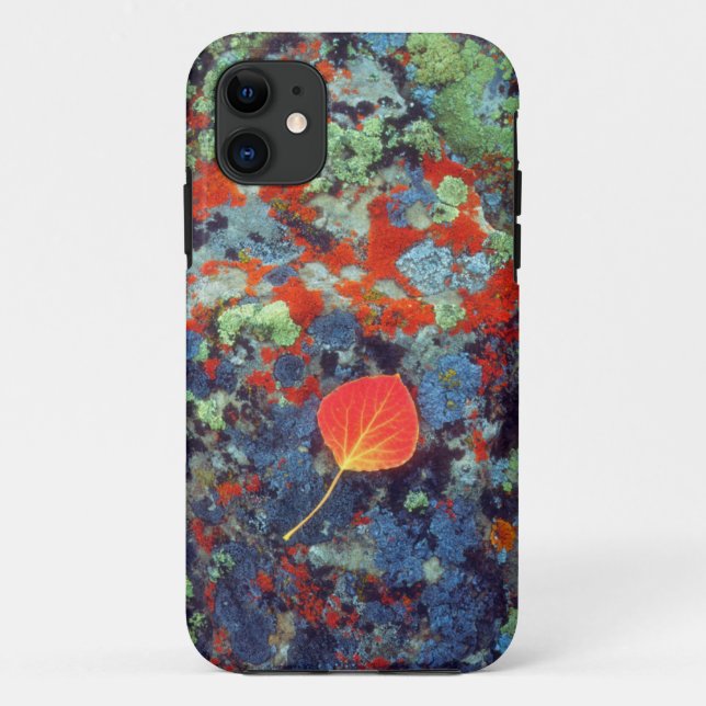 Aspen leaf on a lichen covered rock Case-Mate iPhone case (Back)