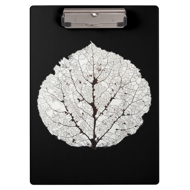 Aspen Leaf Skeleton 1 Clipboard (Front)