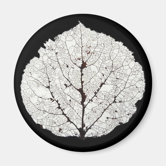 Aspen Leaf Skeleton 1 Magnet (Front)