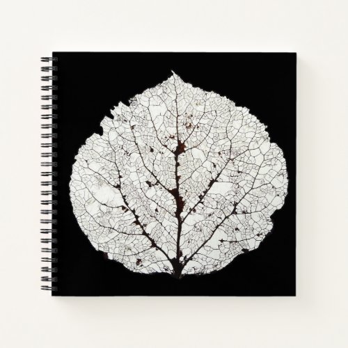 Aspen Leaf Skeleton 1 Notebook