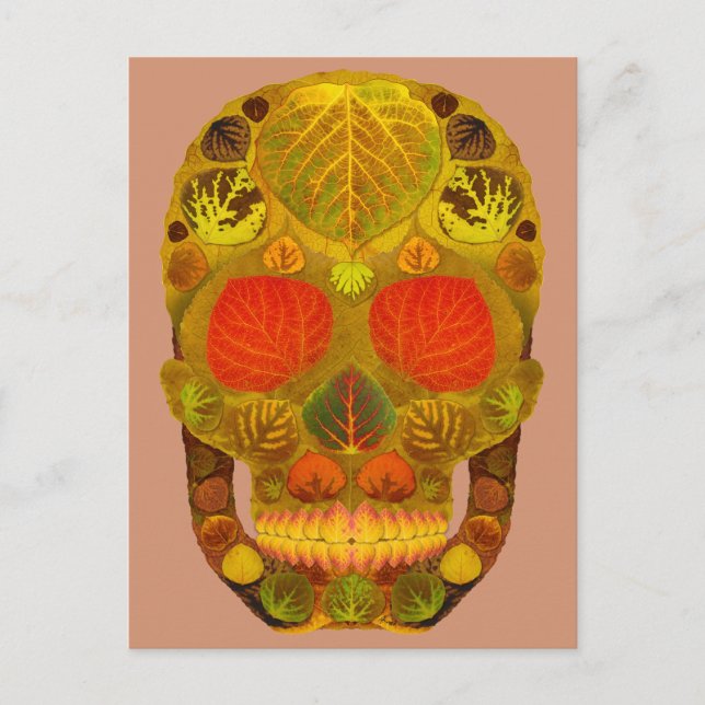 Aspen Leaf Skull 12 Postcard (Front)