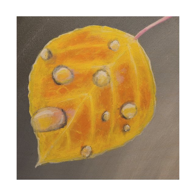 Aspen Leaf with Water Droplets Wood Wall Art (Front)