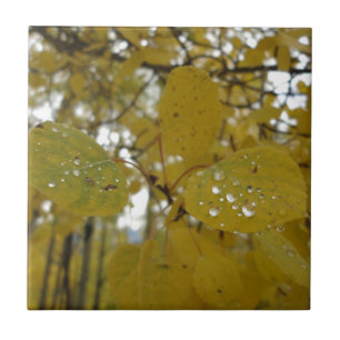 aspen leaves ceramic tile