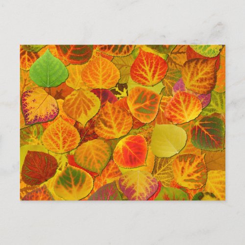 Aspen Leaves Collage Solid Medley 1 Postcard