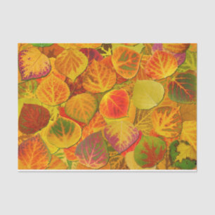 Aspen Leaves Collage Solid Medley 1 Tissue Paper