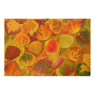 Aspen Leaves Collage Solid Medley 1 Wood Wall Decor