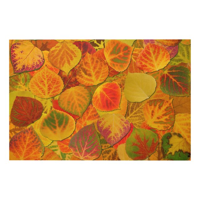 Aspen Leaves Collage Solid Medley 1 Wood Wall Decor (Front)