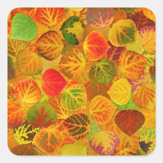 Aspen Leaves collage solid medley seamless 1 Square Sticker (Front)