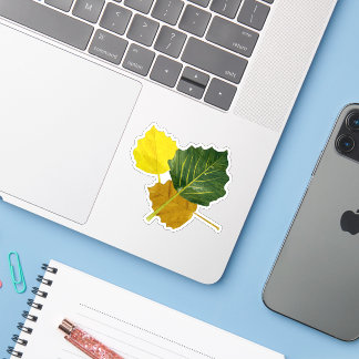 Aspen leaves sticker