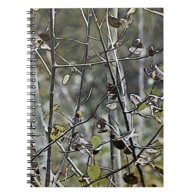Aspen Notebook (Front)