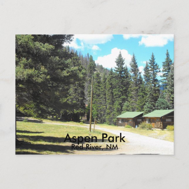 Aspen Park Red River, NM Postcard (Front)