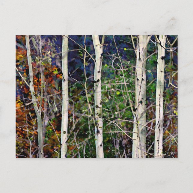 Aspen   postcard (Front)