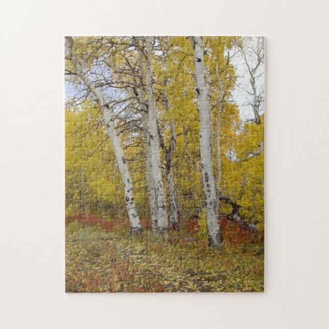 Aspen Splendor Nature Puzzle (Vertical)