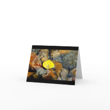 Aspen & the water drop blank card