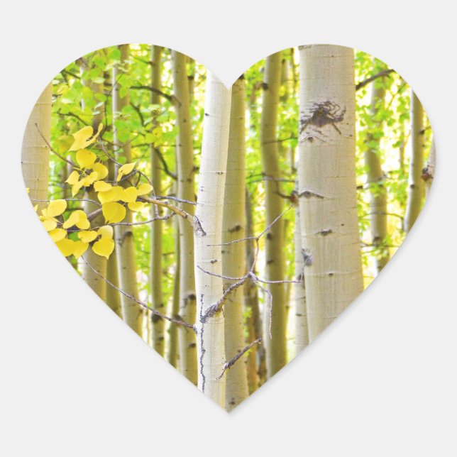 Aspen Tree Forest Autumn Time Portrait Heart Sticker (Front)