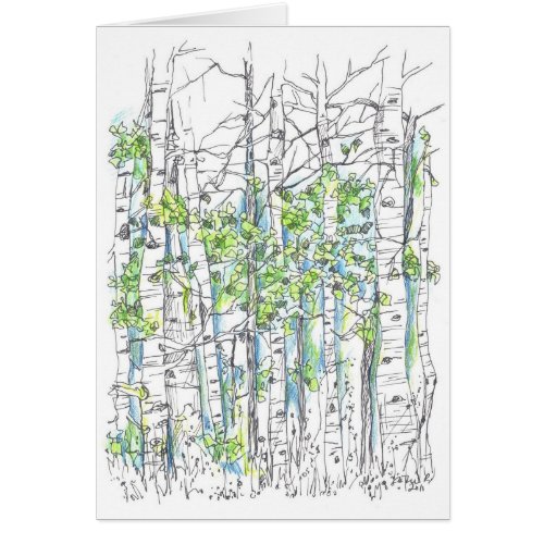 Aspen Tree Grove Ink Drawing Blank Card