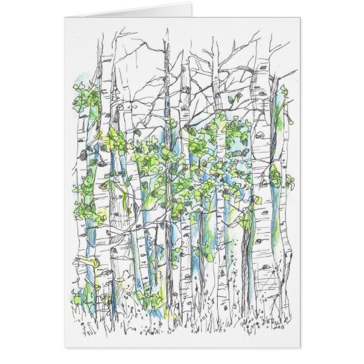 Aspen Tree Grove Ink Drawing Blank Card (Front)