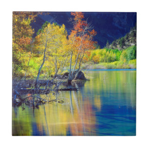 Aspen tree in autumn reflecting in Grant Lake Ceramic Tile